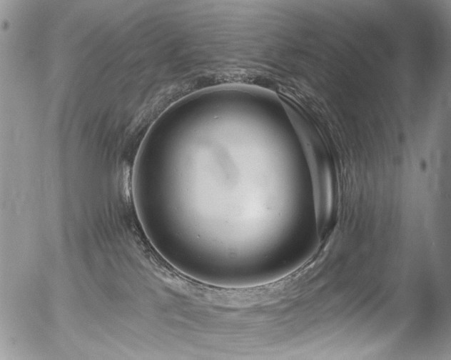 X0000054360041200507291032