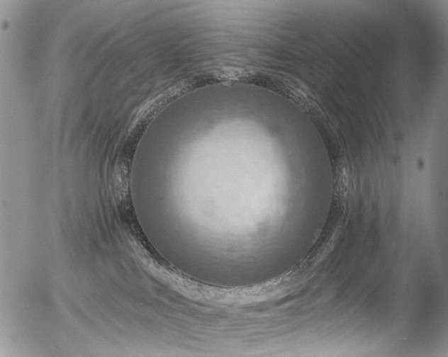 X0000054360043200507291032