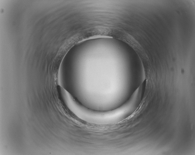 X0000054360045200507291032