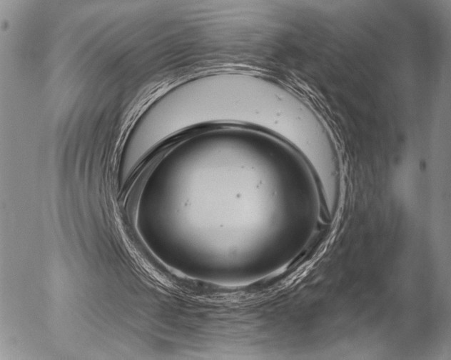 X0000054360049200507291031