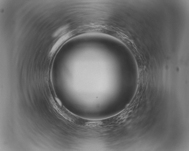 X0000054360051200507291032