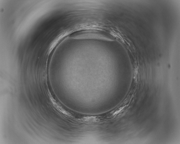 X0000054360052200507291032