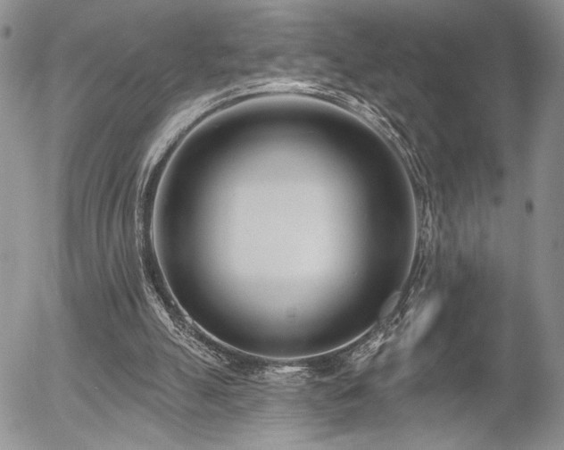 X0000054360055200507291032