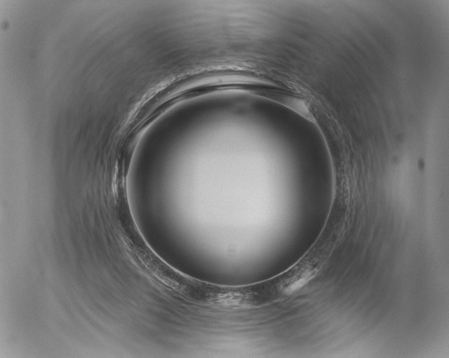 X0000054360064200507291032