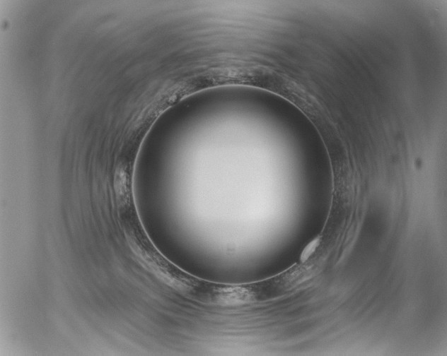 X0000054360087200507291032