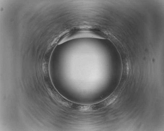 X0000054360088200507291032