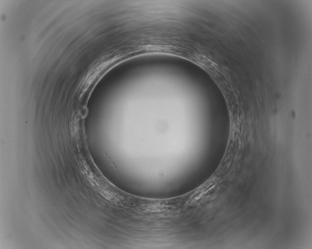X0000054360098200507291031