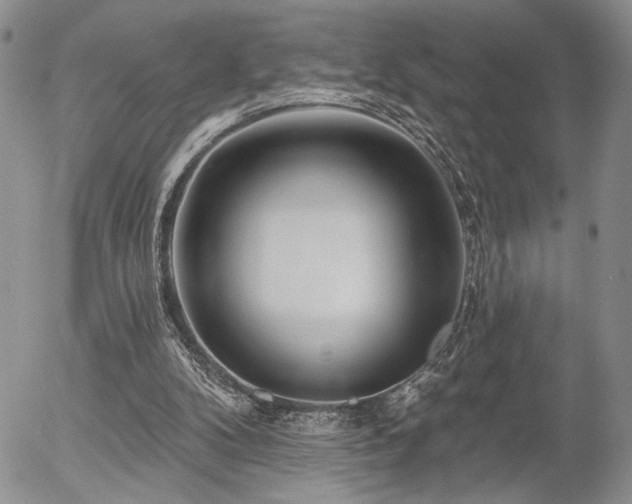 X0000054360104200507291031