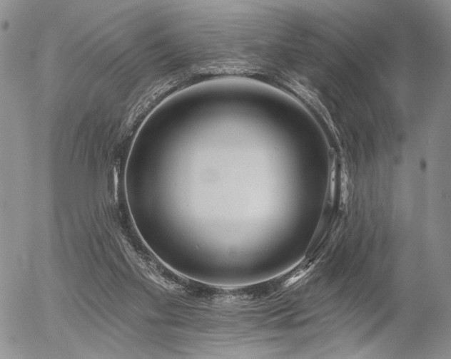 X0000054360109200507291031