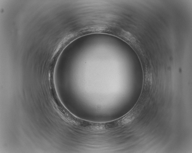 X0000054360110200507291031
