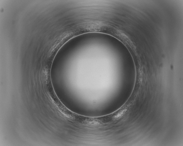 X0000054360113200507291031