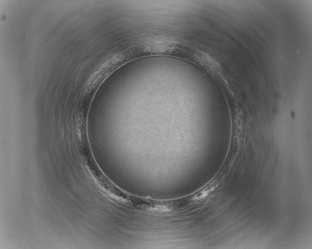 X0000054360114200507291031
