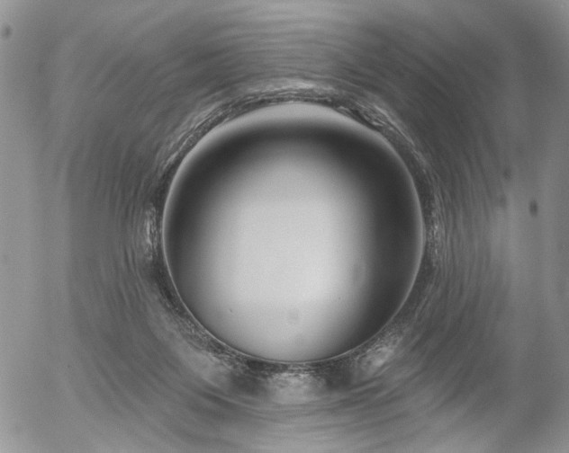 X0000054360119200507291031