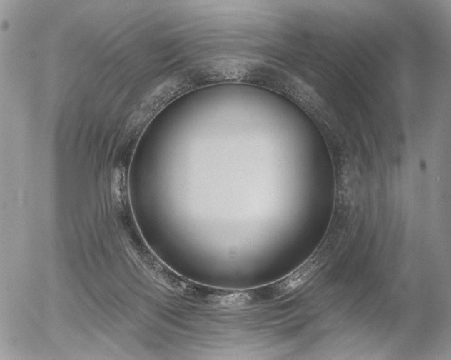 X0000054360122200507291031