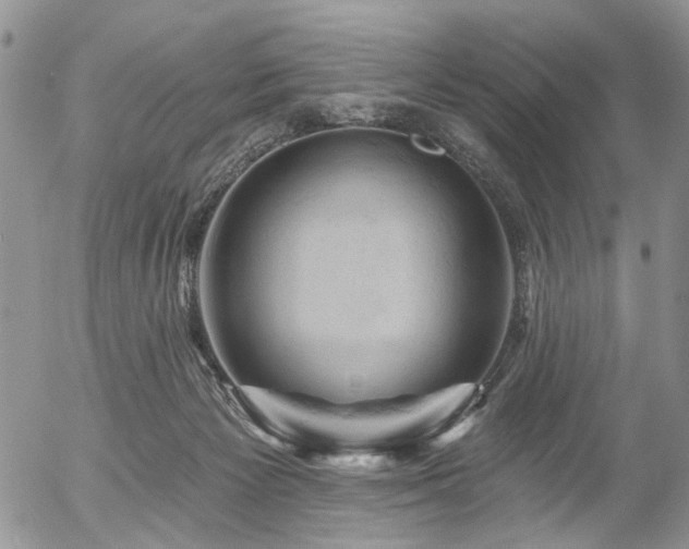 X0000054360125200507291031