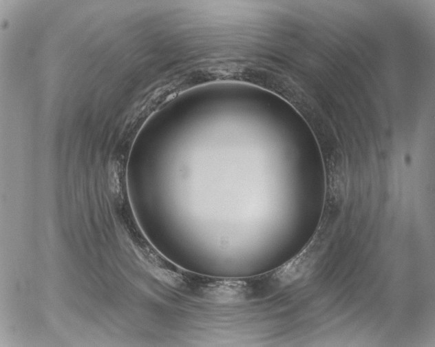 X0000054360128200507291031