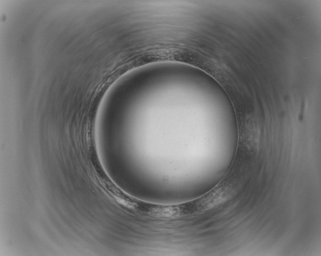 X0000054360131200507291031