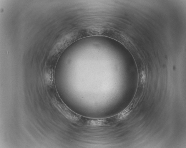 X0000054360134200507291031