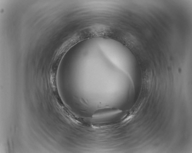 X0000054360139200507291031