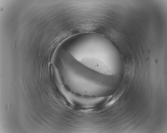 X0000054360143200507291031