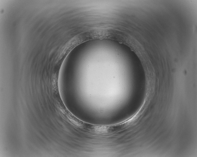 X0000054360144200507291031