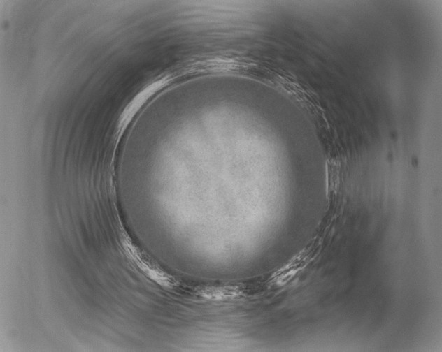 X0000054360147200507291030