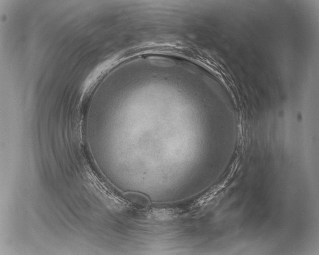 X0000054360149200507291030
