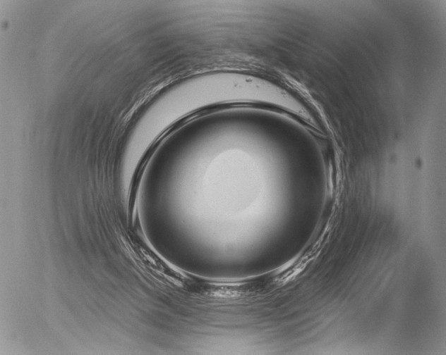 X0000054360154200507291030