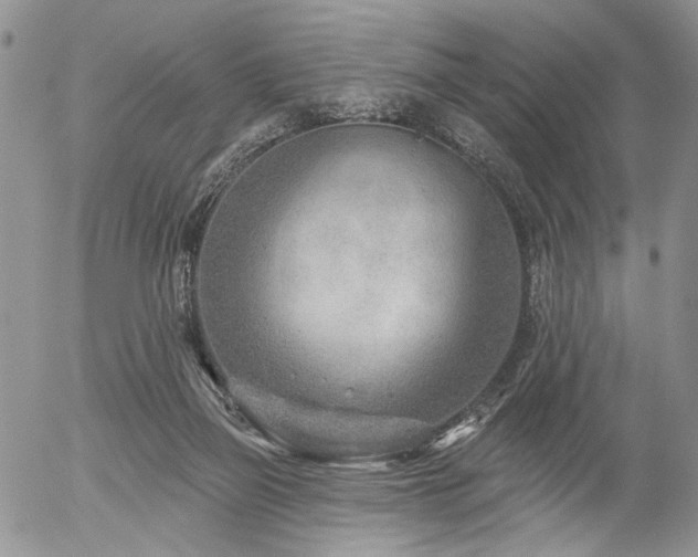X0000054360165200507291030