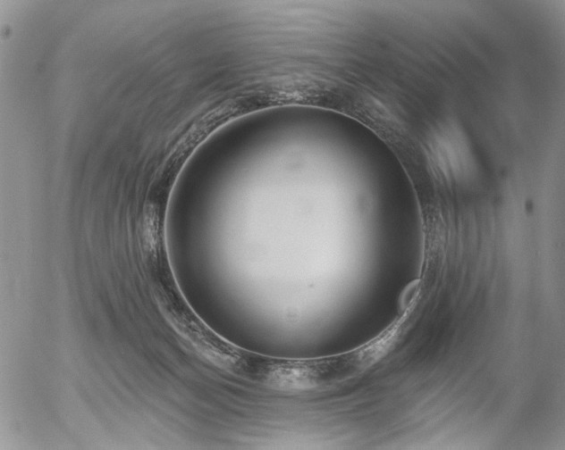 X0000054360174200507291030