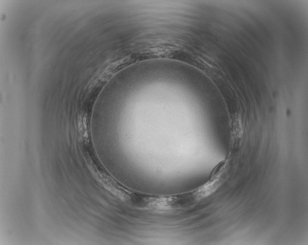 X0000054360182200507291031