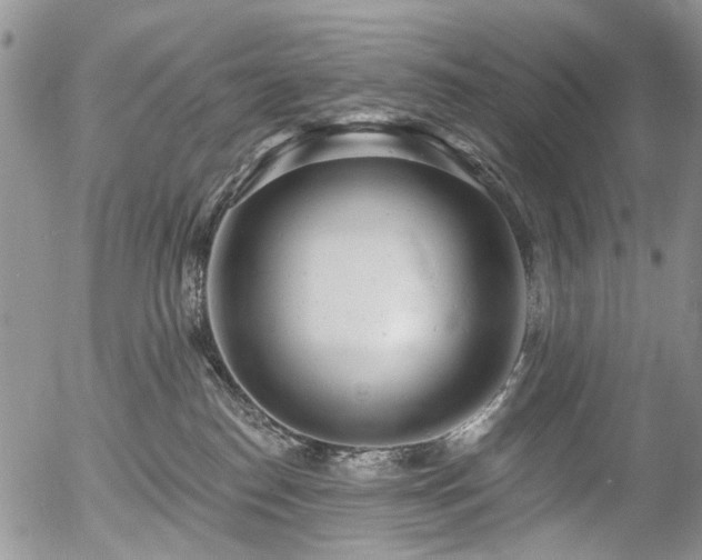 X0000054360186200507291031