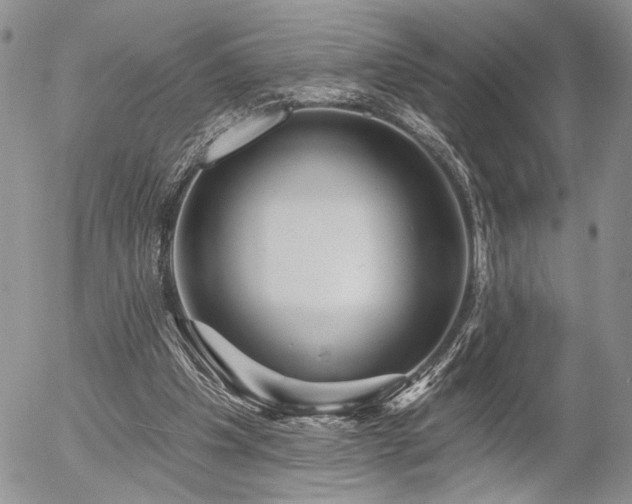 X0000054360201200507291030