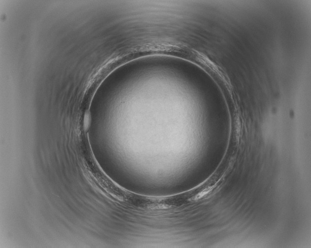 X0000054360203200507291030