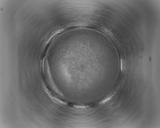 X0000054360205200507291030