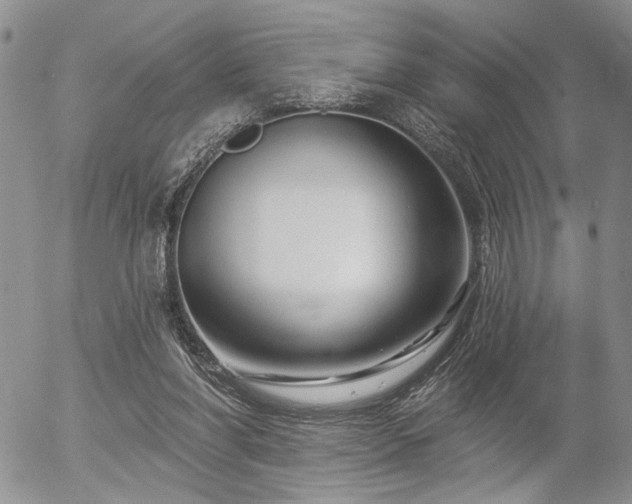 X0000054360206200507291030