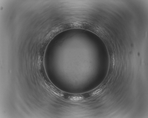 X0000054360223200507291029