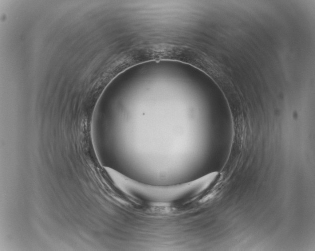 X0000054360225200507291029