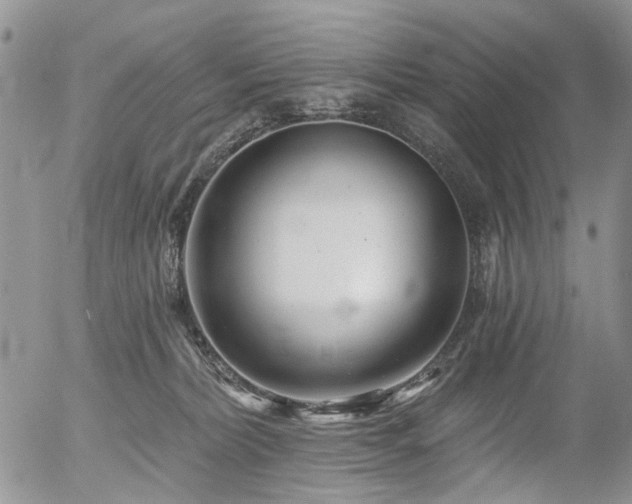 X0000054360228200507291029