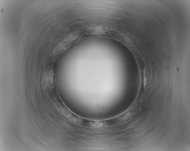 X0000054360230200507291029
