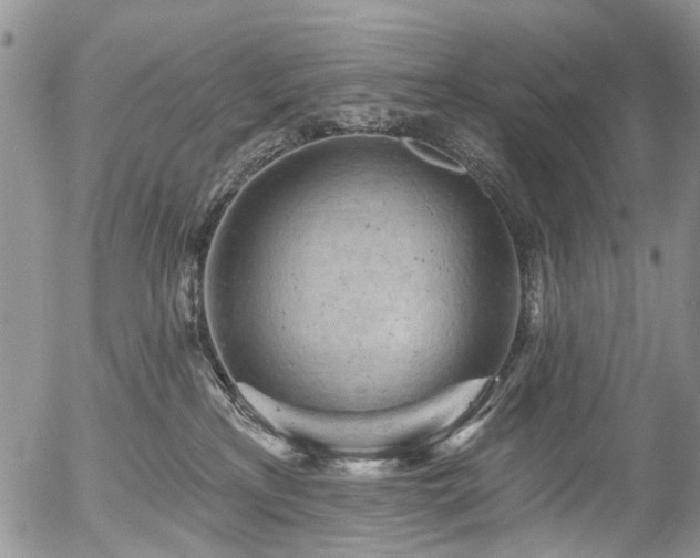 X0000054360233200507291029