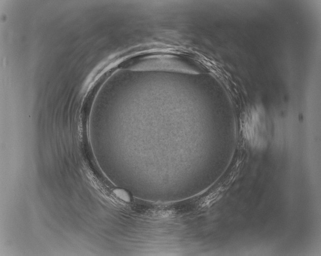 X0000054360247200507291028