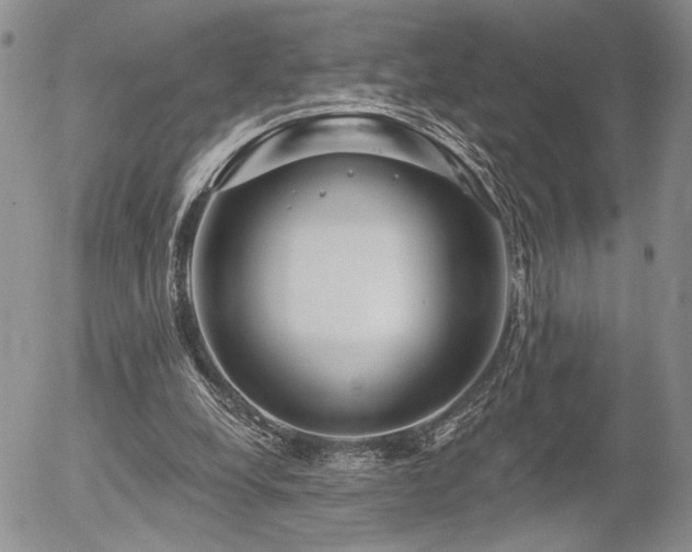 X0000054360248200507291028