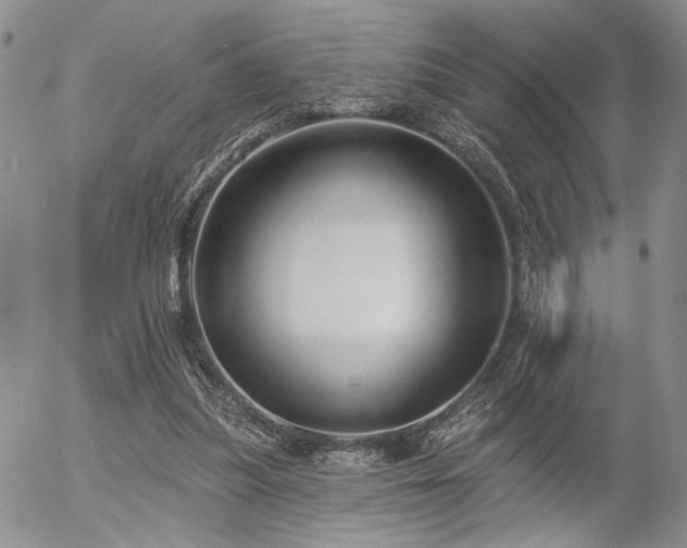 X0000054360251200507291028