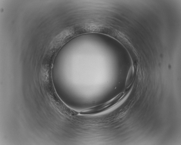 X0000054360259200507291029