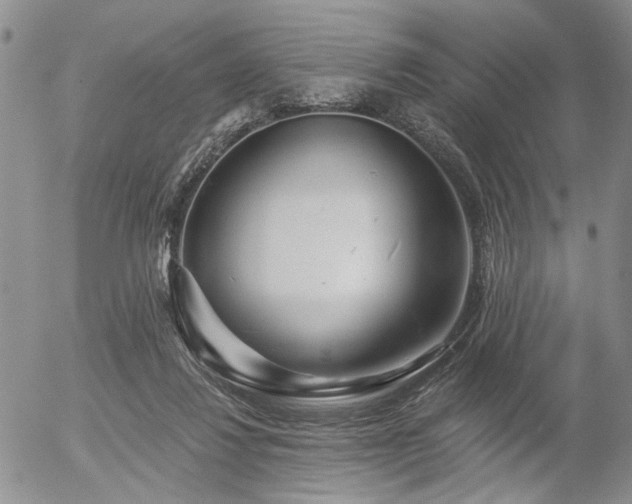 X0000054360260200507291029
