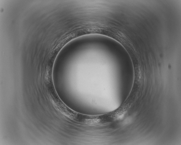X0000054360266200507291029