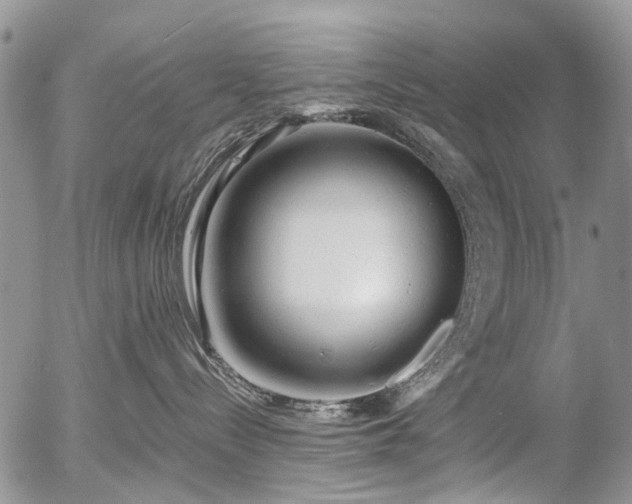 X0000054360288200507291029