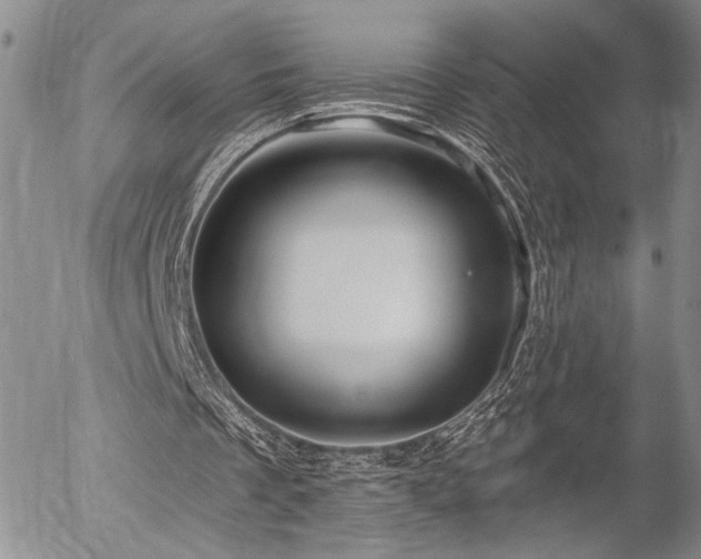X0000054360289200507291028