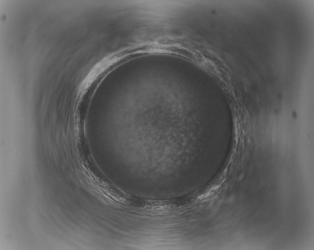 X0000054360295200507291028